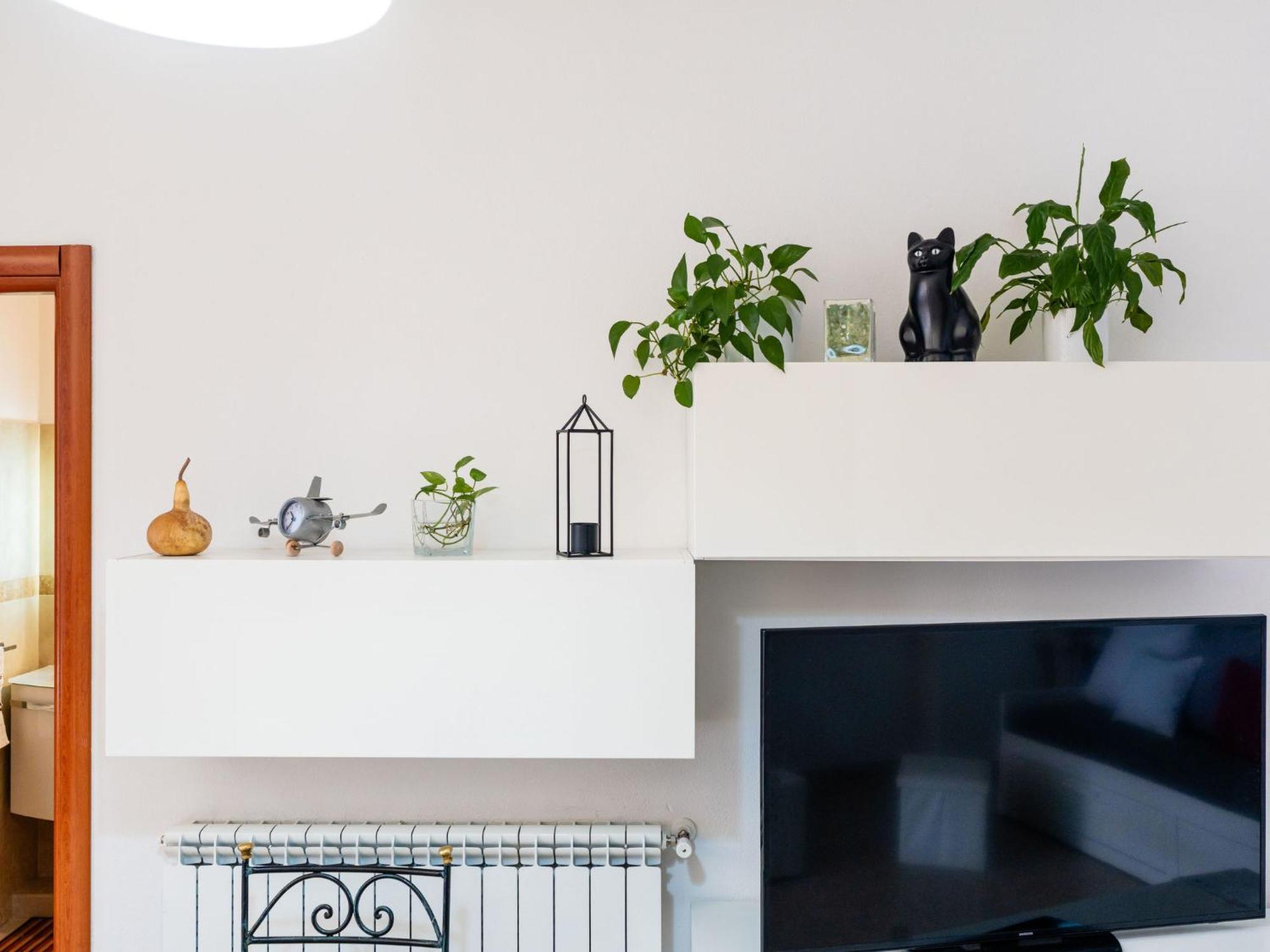 Apartment Calella By Interhome Camporosso  Εξωτερικό φωτογραφία